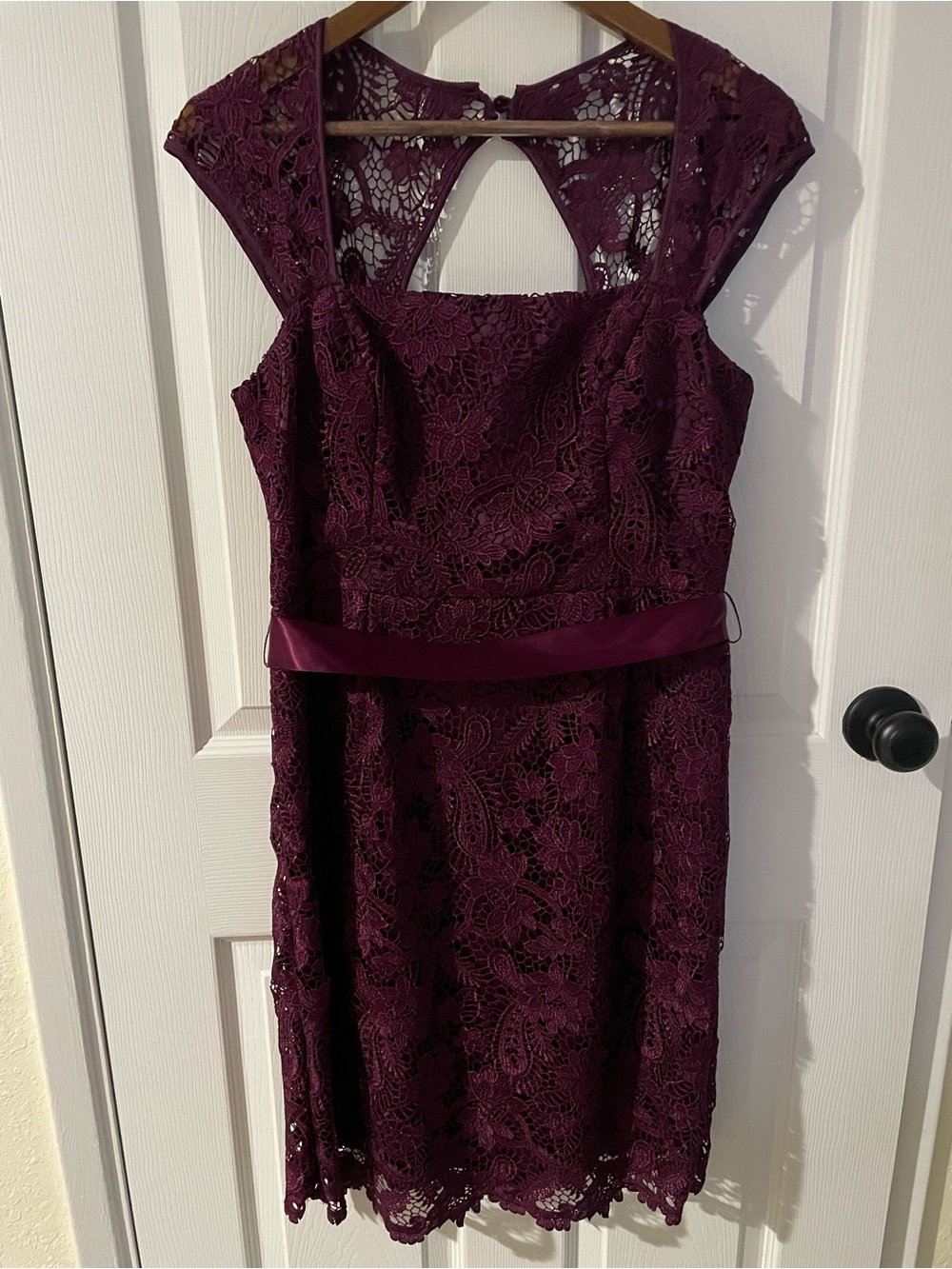 Adrianna Papell Plum Purple Lace Sheath Dress Cocktail Wedding Guest Keyhole Bac